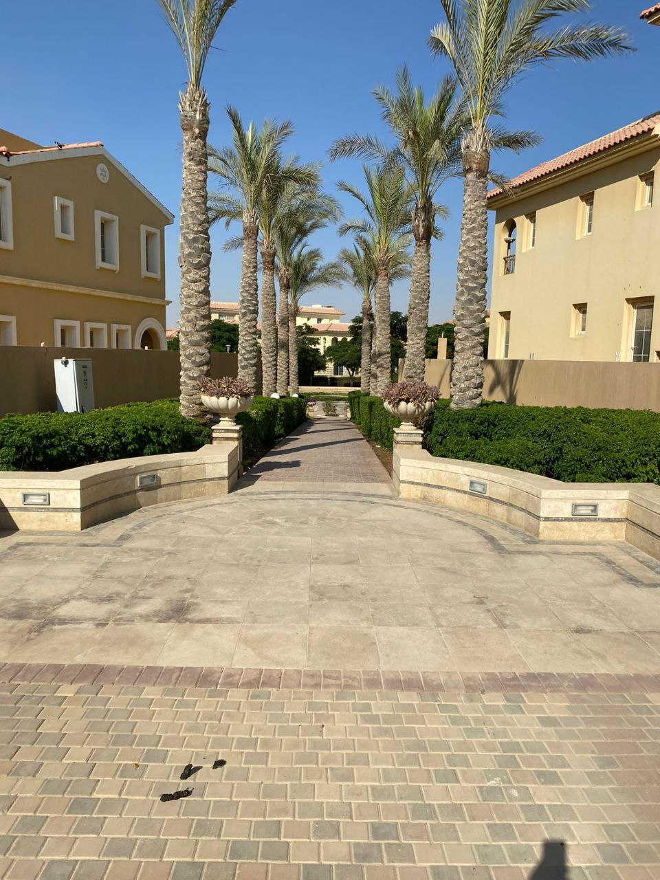 Mazaady standalone Hyde park