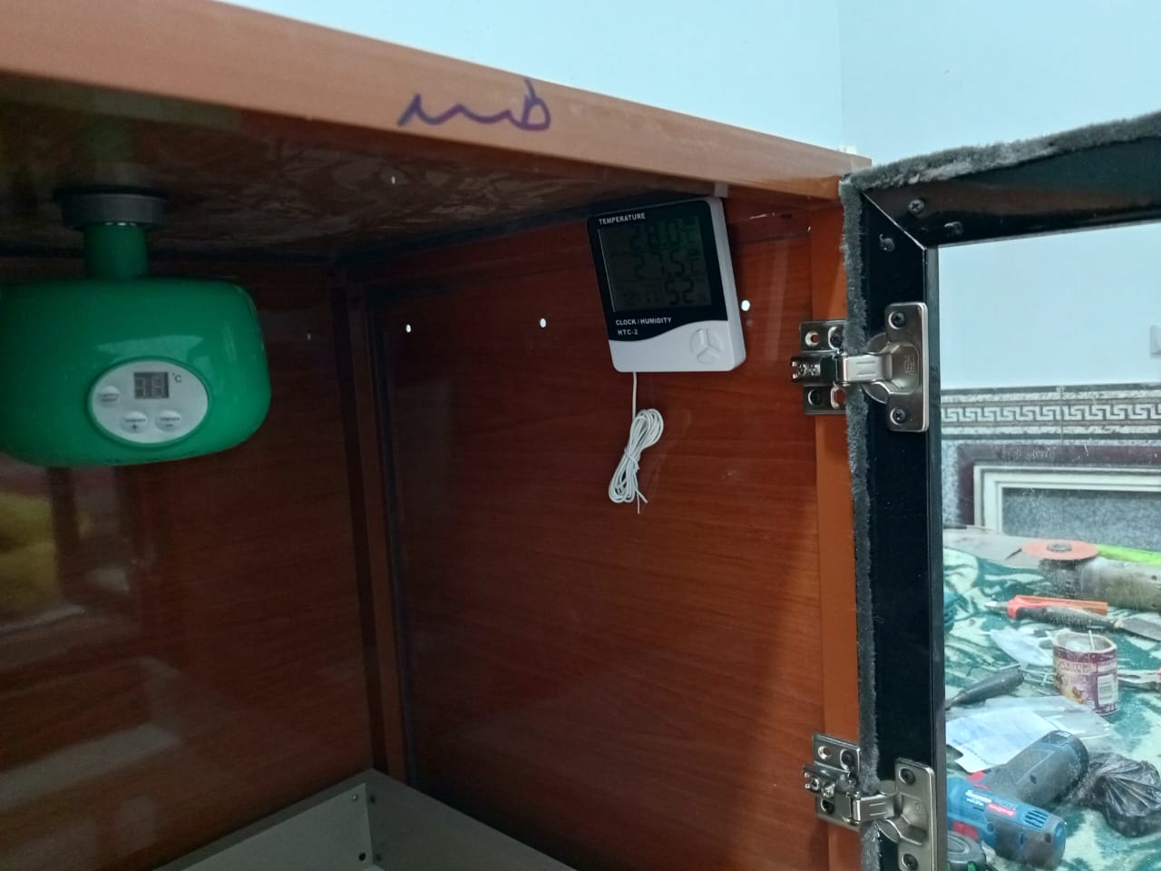 حضانة فروخ بغبغانات وطيور