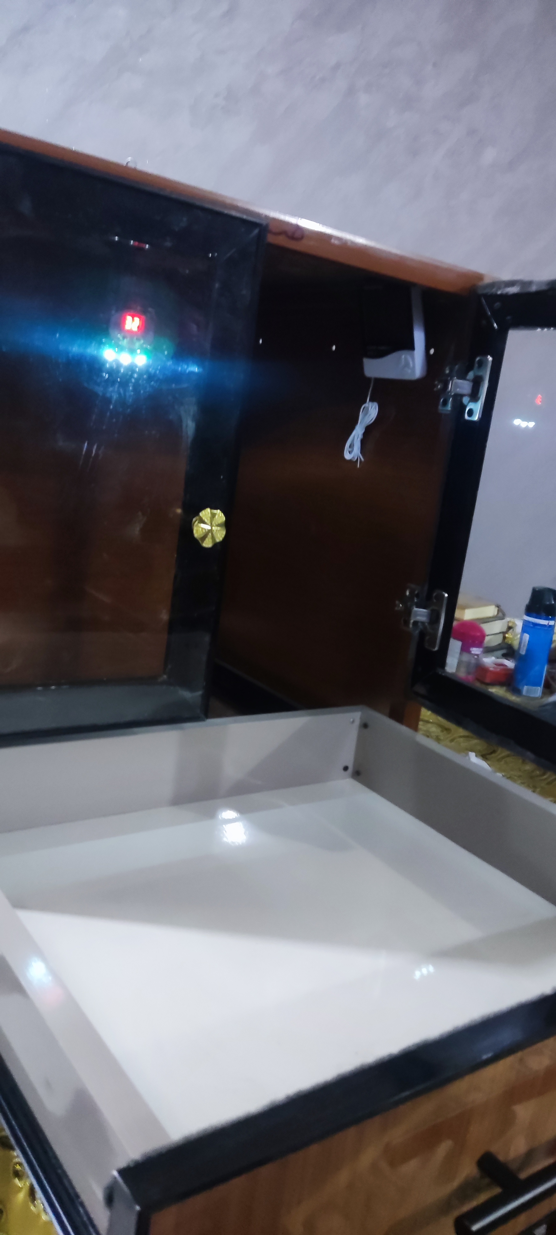 حضانة فروخ بغبغانات وطيور