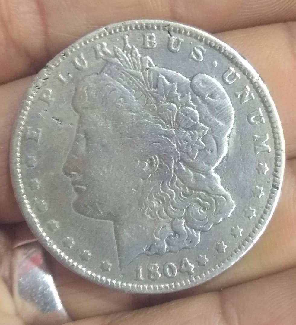 silver coin One Dollar