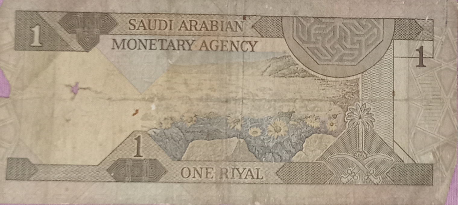 ريال سعودي