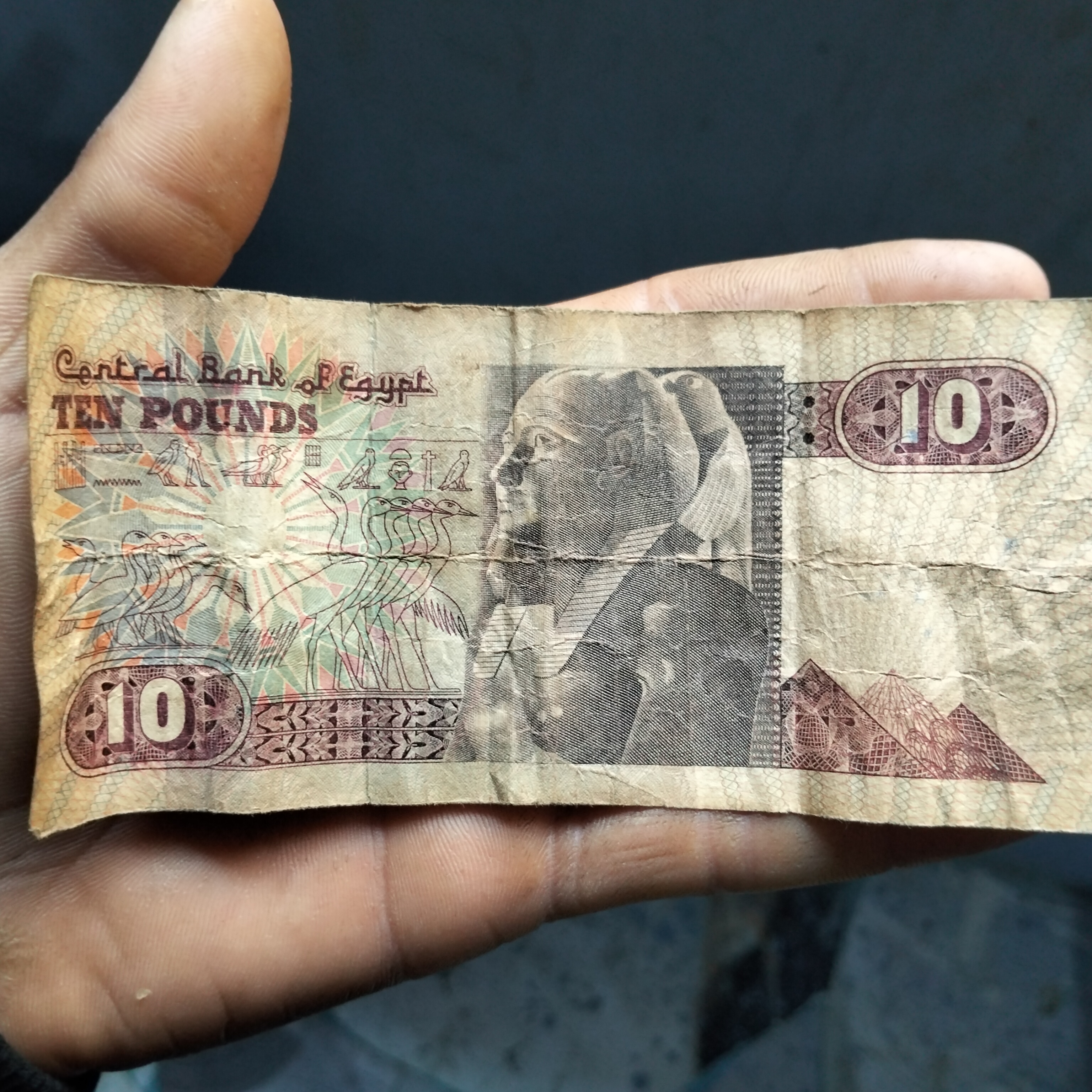 عشره جنيه مسجد الرفاعي تريخ العملاء 1911