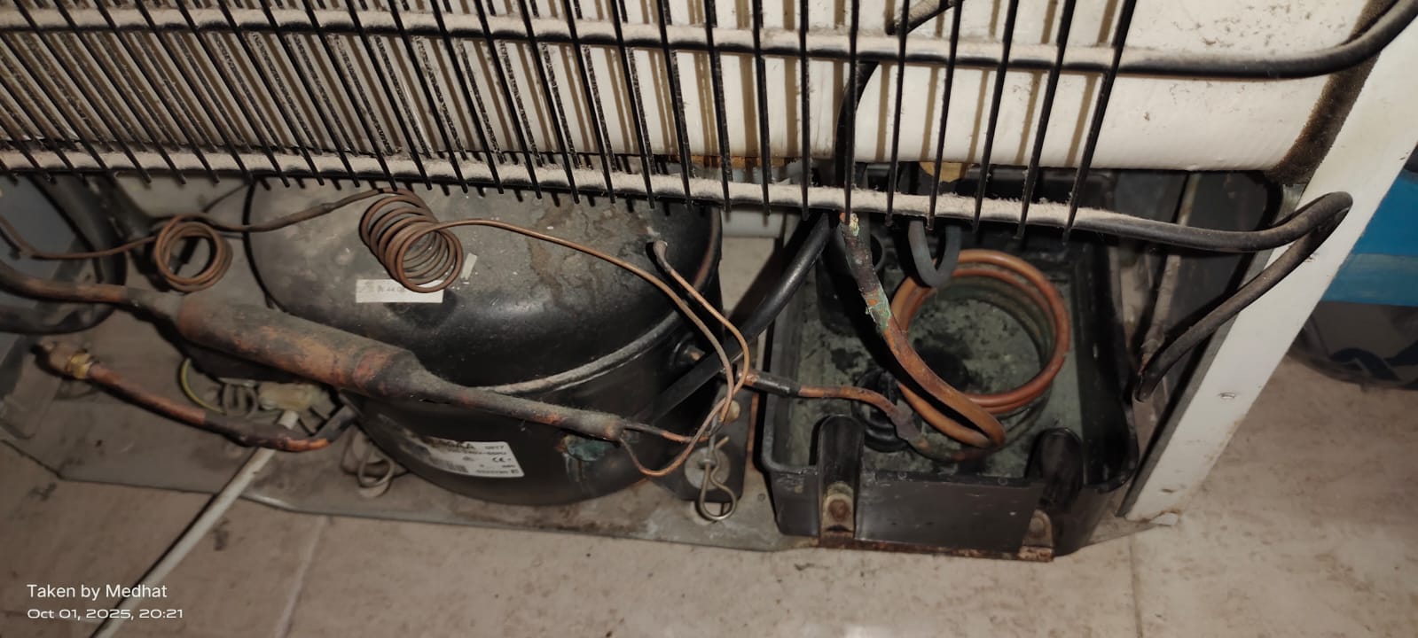 ايديال 12 قدم