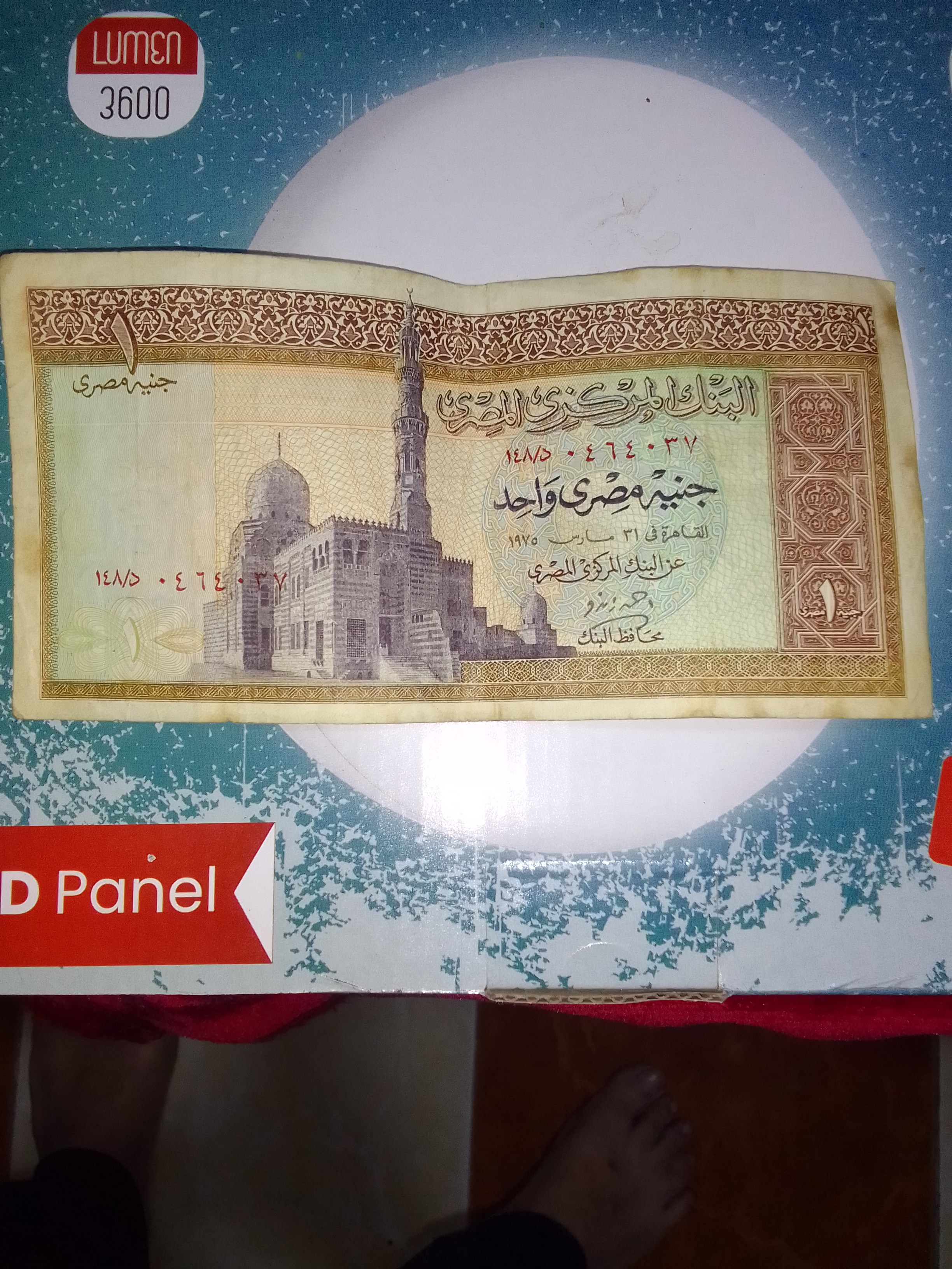 جنيه مصري 1975