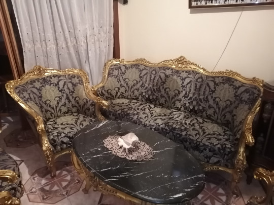صالون مدهب جديد للعروسه