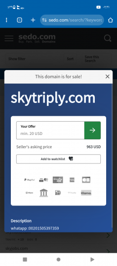 skytriply.com