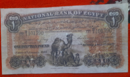 انتيك و عملات مصرية قديمة