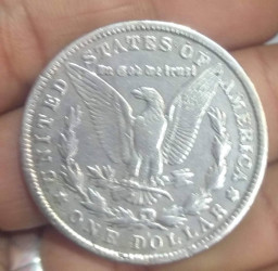 silver coin One Dollar