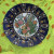 Original Chinese plate dating back to 1882