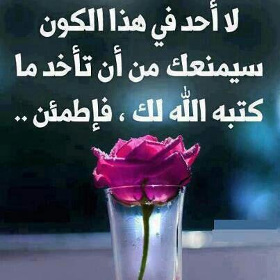 مؤسسة الأمبراطور التجارية