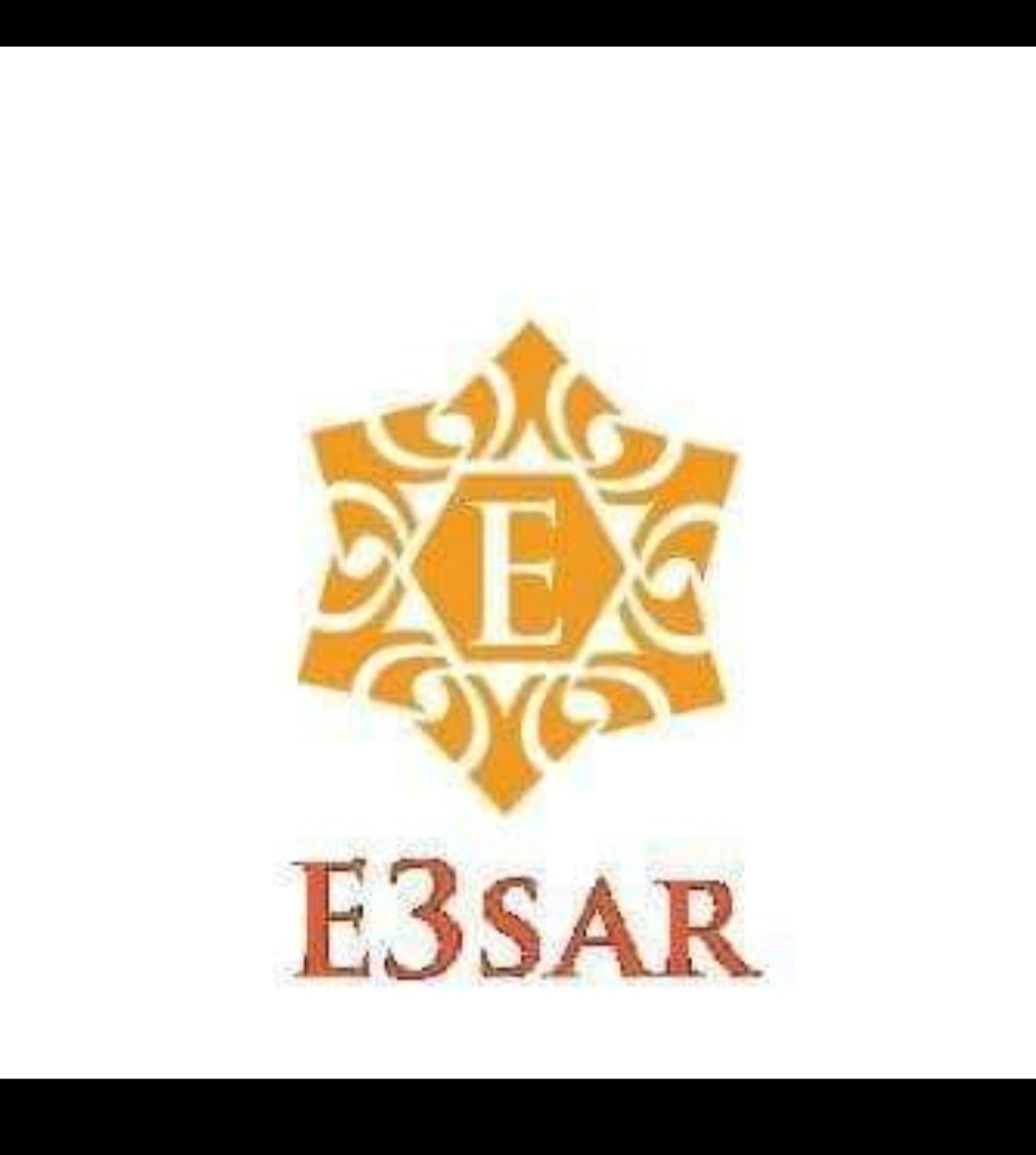 E3SAR group